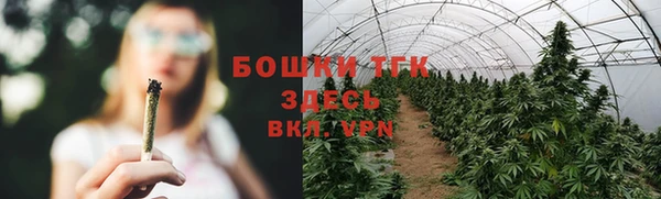 шишки Алексеевка