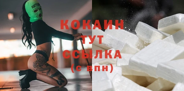 дмт Алексин