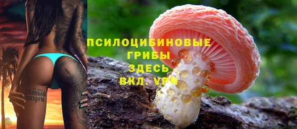 шишки Алексеевка