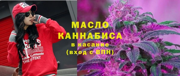 дмт Алексин