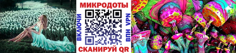 Галлюциногенные грибы Magic Shrooms Новоалександровск