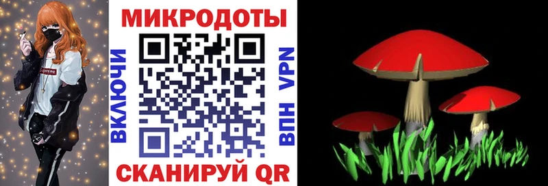 Галлюциногенные грибы Magic Shrooms  Новоалександровск 